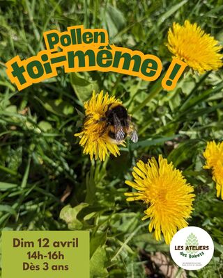 imgcarousel-name-mising