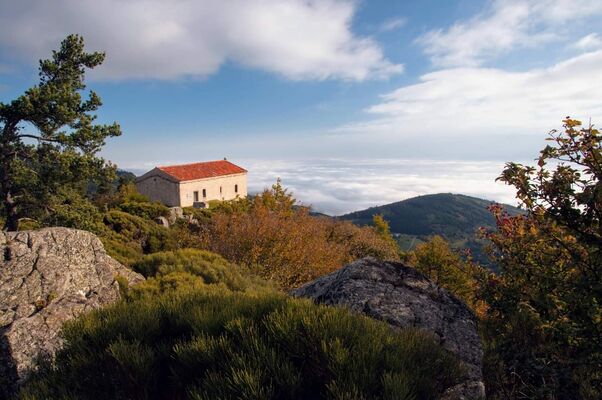 imgcarousel-name-mising