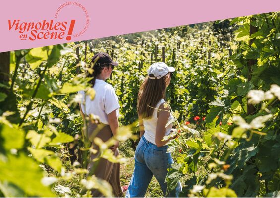 Apéro et visite des coteaux en Côte-Rôtie_Ampuis