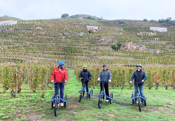 Vignobles de Côte-Rôtie