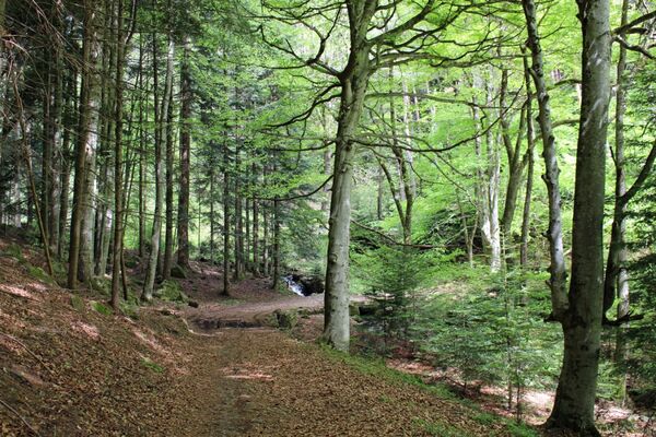 Balade contée_Colombier