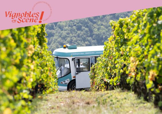 Côte-Rôtie Tour de Vignobles en Scène