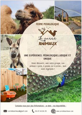 Page d’accueil brochure