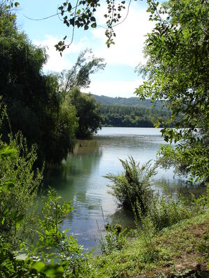 lône