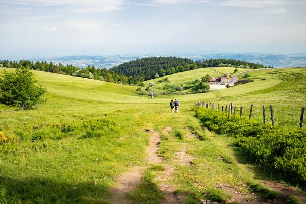 Rando OFF-TEL - Massif du Pilat