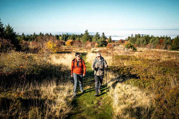 Sentier d'interprétation - A la découverte des Crêts - boucle de 10 km_Véranne