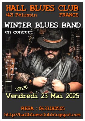 Blues rock avec WINTER BLUES BAND en concert au Hall Blues Club_Pélussin