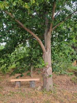 imgcarousel-name-mising