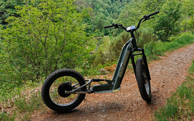 Trottinette électrique tout-terrain (batterie intégrée- bimoteur)