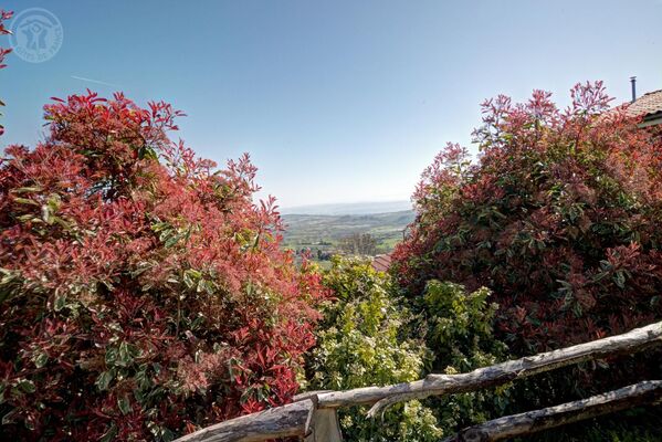 imgcarousel-name-mising