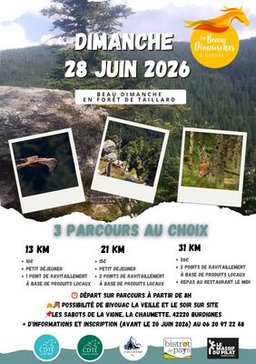 Sortie équestre "Beau dimanche en forêt de Taillard"_Burdignes