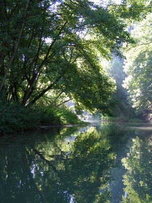 Lône de l'Île du Beurre