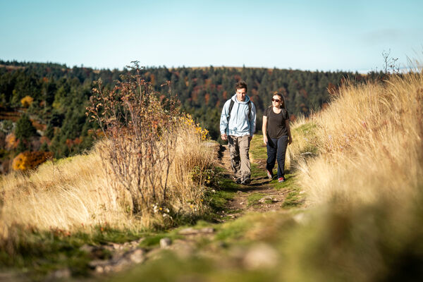 Sentier d'interprétation - A la découverte des Crêts - boucle de 10 km_Véranne