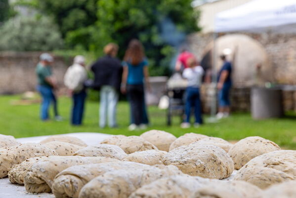 Les rendez-vous aux jardins_Saint-Romain-en-Gal
