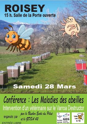 Conférence "Les maladies des abeilles"_Roisey