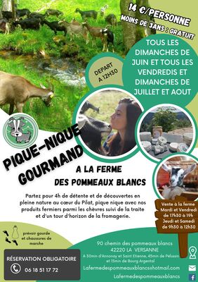 Pique-nique à la Ferme des Pommeaux Blancs_La Versanne