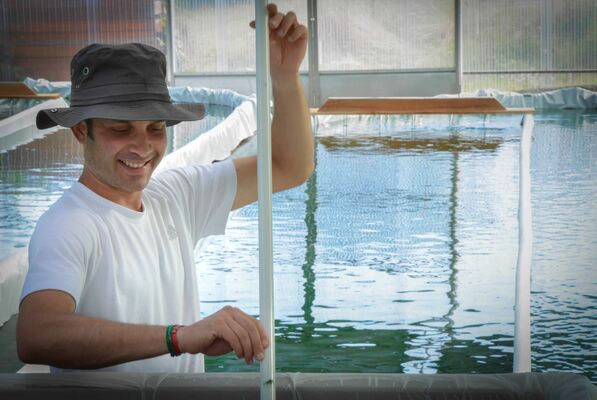 De Ferme en Ferme "Spiruline du Pilat"_Châteauneuf