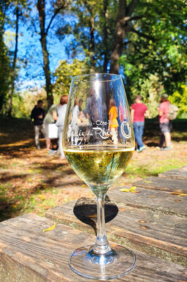 Apéro Vignes au Domaine Anthony Paret_Saint-Pierre-de-Boeuf