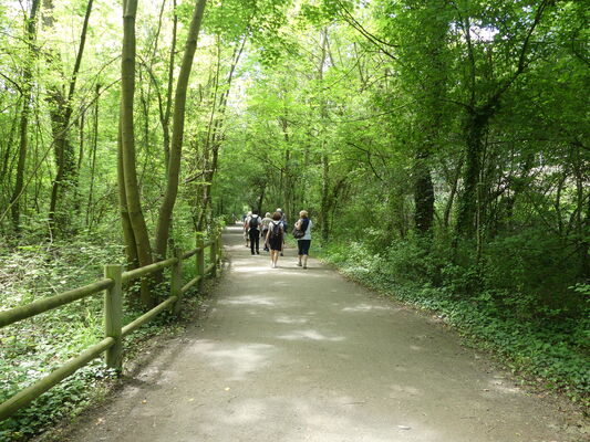 Sentier du Castor