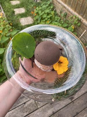 imgcarousel-name-mising