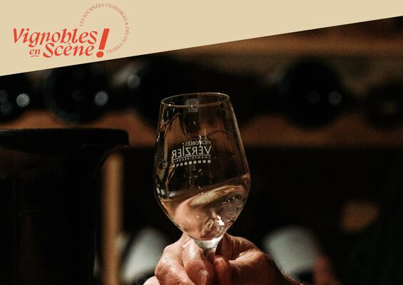 Wine Notes au Domaine Verzier_Chavanay