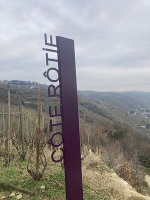 Côte-Rôtie