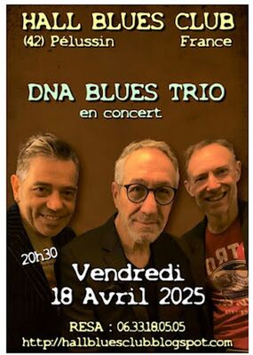 Concert "DNA Blues Trio" - Hall Blues Club_Pélussin