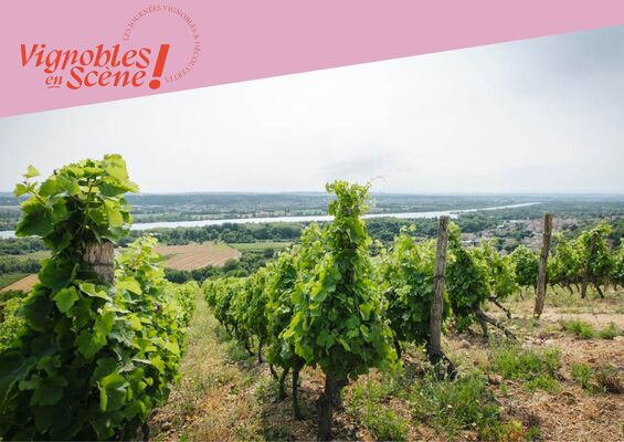 Wine Notes au Domaine Anthony Paret_Saint-Pierre-de-Boeuf