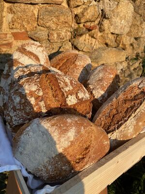 le pain au levain cuit au four à bois