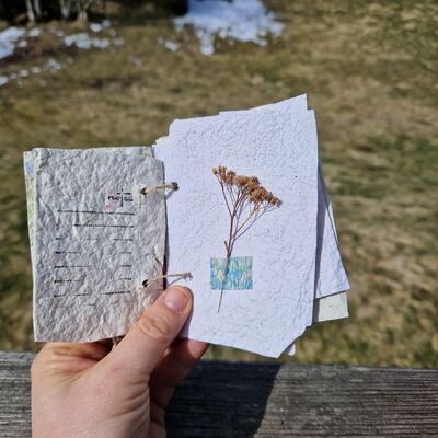 imgcarousel-name-mising