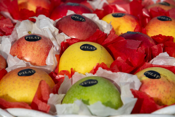 Fête de la Pomme_Pélussin