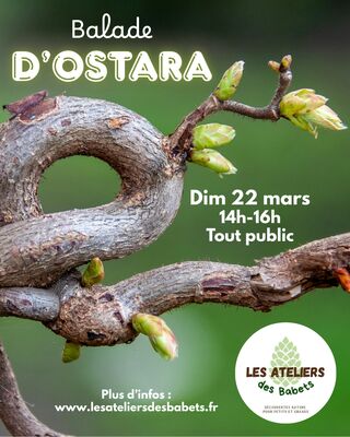 imgcarousel-name-mising