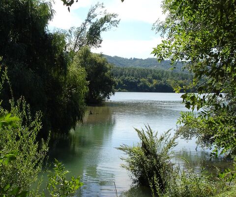 Balades Découverte du Patrimoine naturel de l'île du Beurre pour les journées européennes du patrimoine_Tupin-et-Semons