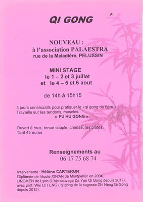 Mini stage de Qigong_Pélussin