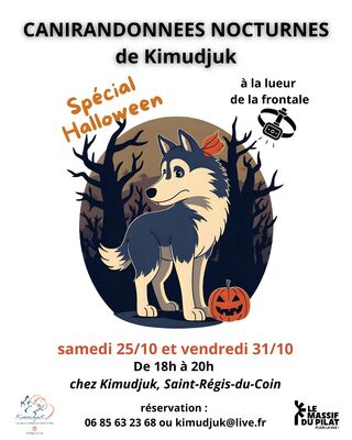 Canirandonnées nocturnes de Kimudjuk_Saint-Régis-du-Coin