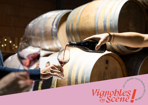 Visite et dégustation au Domaine Degache