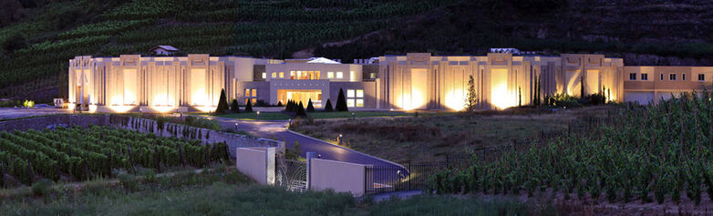 Domaine Vidal-Fleury
