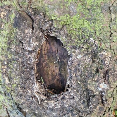 imgcarousel-name-mising