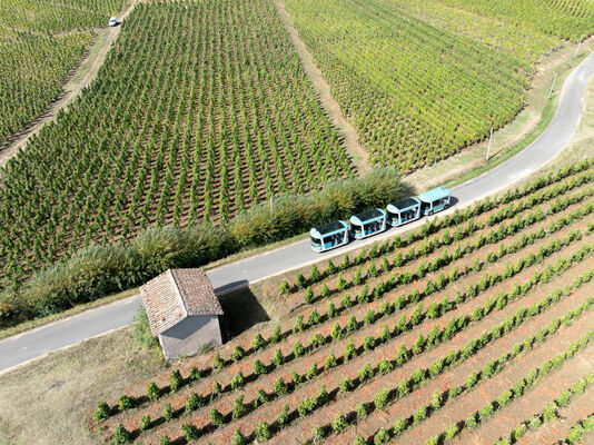 Côte-Rôtie Tour (spécial Journées européennes du patrimoine)_Ampuis