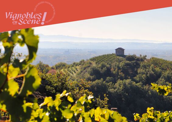 Échappée gourmande dans les vignes - Domaine Anthony Paret_Saint-Pierre-de-Boeuf