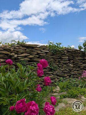 imgcarousel-name-mising