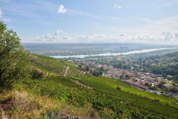 Domaine Verzier