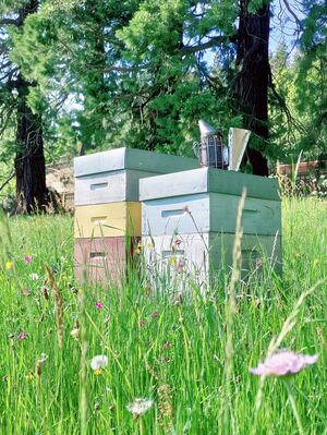 imgcarousel-name-mising