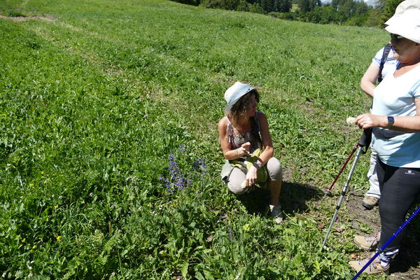 imgcarousel-name-mising