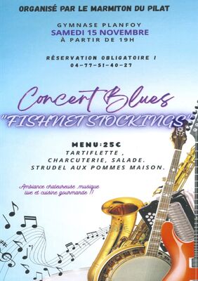 Concert Blues_Planfoy