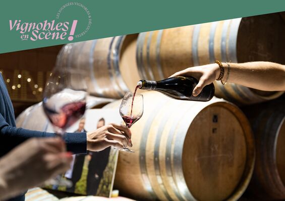 Brunch Vigneron - Les Vins de Vienne_Chavanay