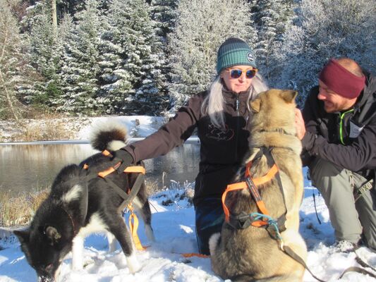 cani-balade Kimudjuk