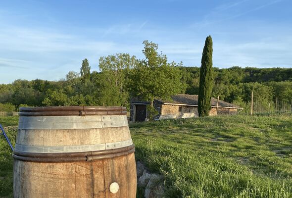 Culture et Vin au Domaine Clusel-Roch_Ampuis