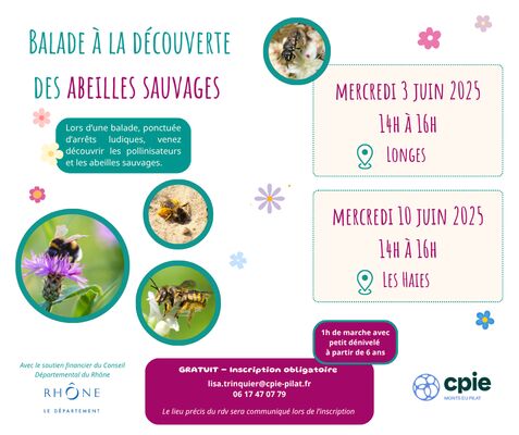 Balade à la découverte des abeilles sauvages_Longes