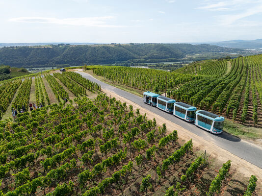 Côte-Rôtie Tour de Vignobles en Scène